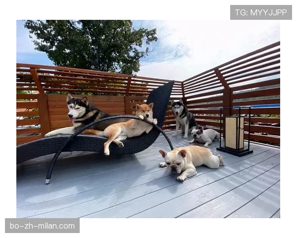 蔡赟训练间隙突然来个豪宅直播，旁边花园比我整个小区还大？